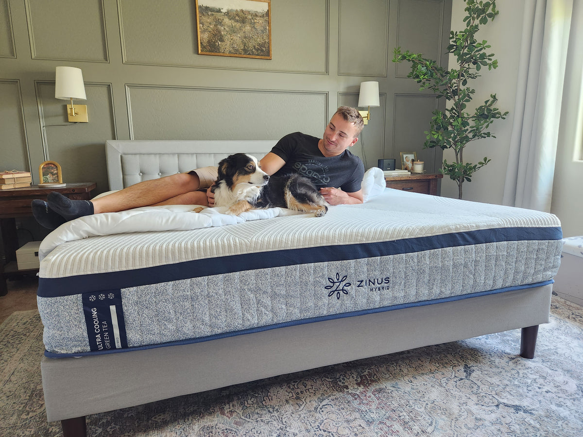 Man relaxing with his dog on a Zinus Ultra Cooling Green Tea Hybrid mattress with gray patterned side panel, placed on upholstered bed frame in a modern bedroom with paneled wall, wood nightstands, and natural light, highlighting comfort and lifestyle use