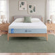 Zinus Cooling Green Tea Memory Foam Mattress, Queen, staged on wood platform bed frame in bedroom with white pillows, sage cushion, and label text reading cooling green tea memory foam.
